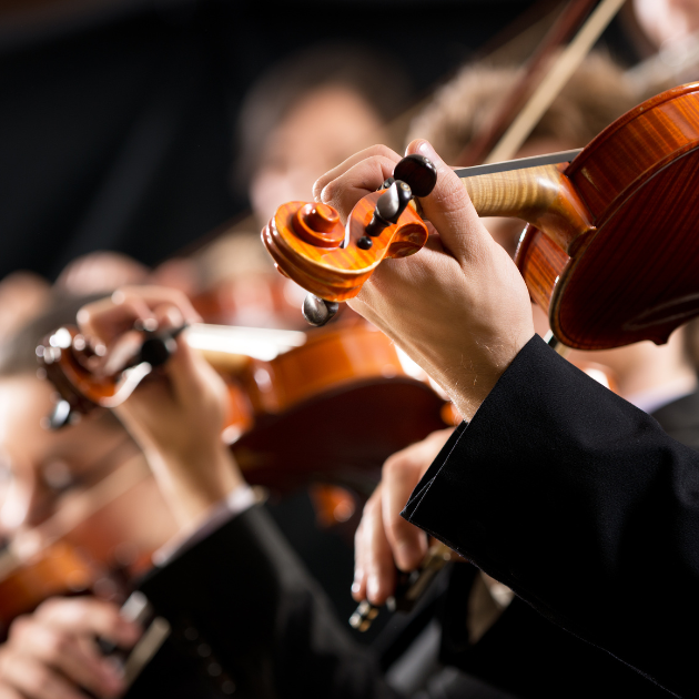 symphonie-orchester-theater-lueneburg-erhalten